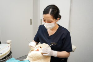治療中の歯科医院