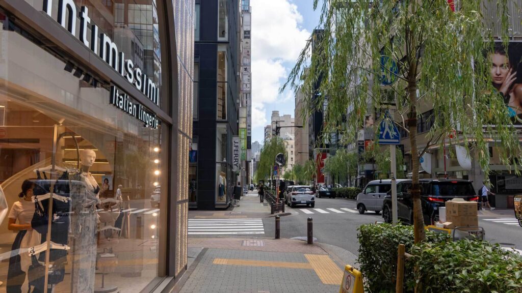 審美歯科へ向かう目印となるintimissimi銀座店